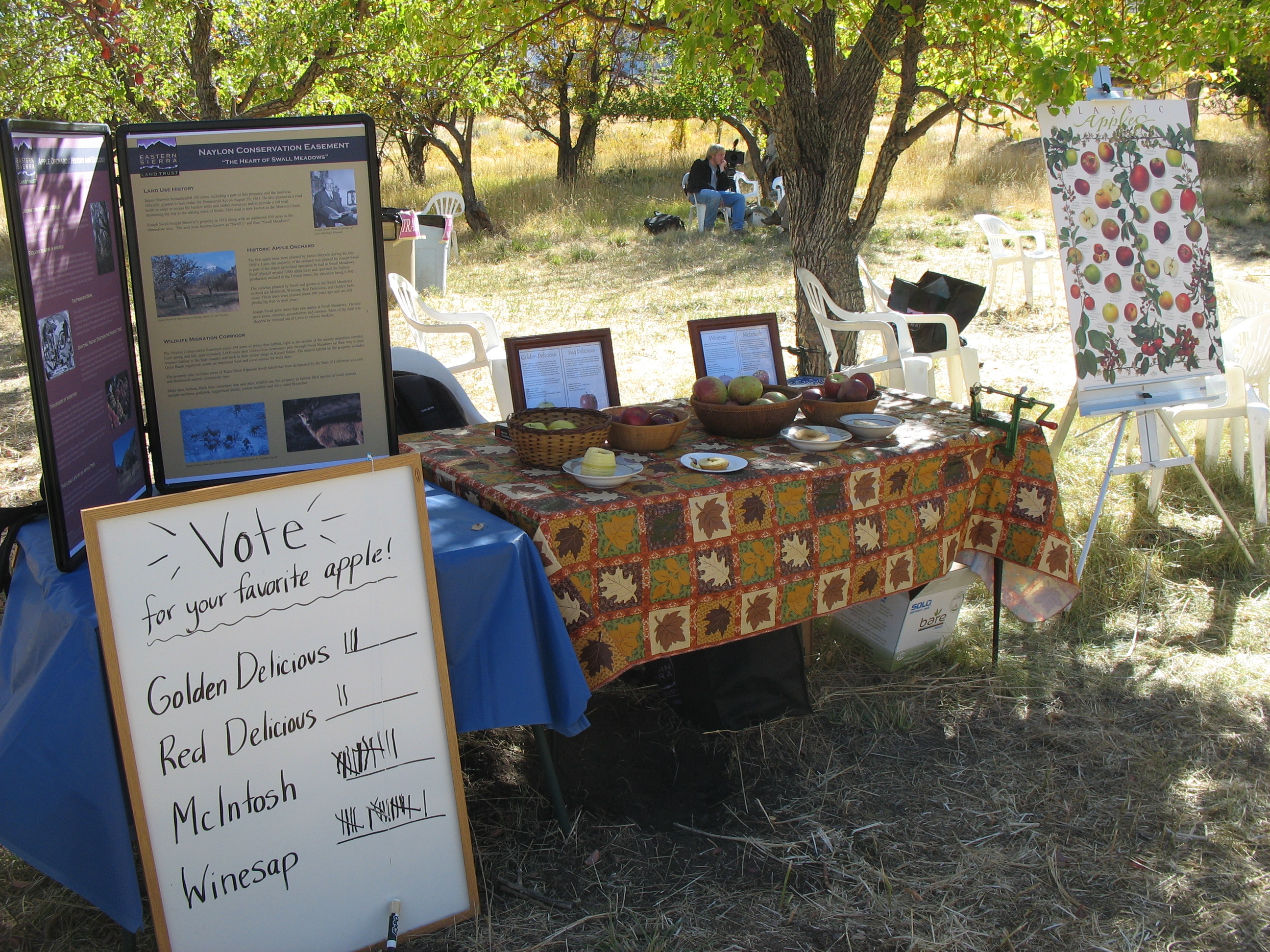 Vote for Apple table