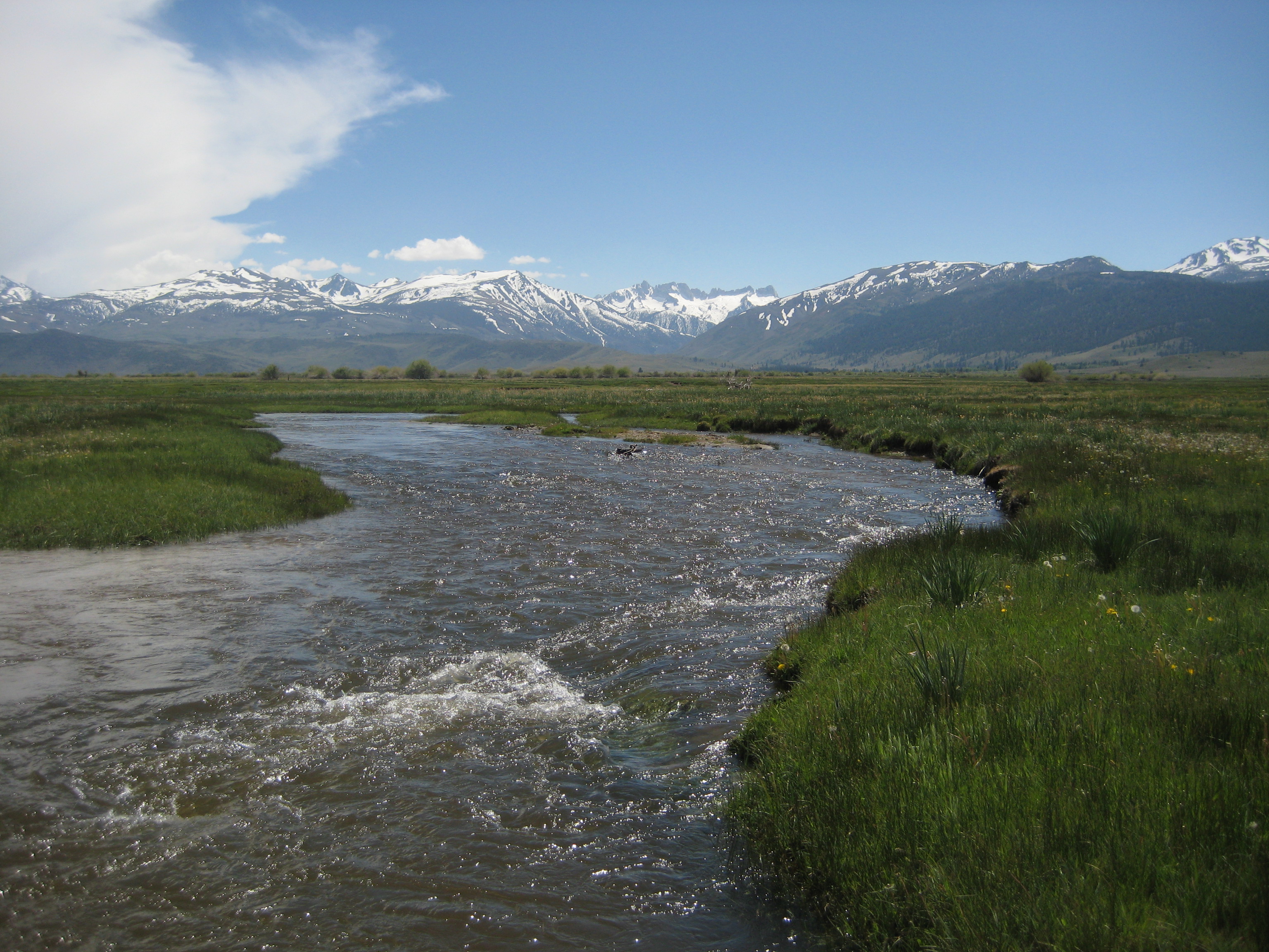 Centennial Ranch Spring