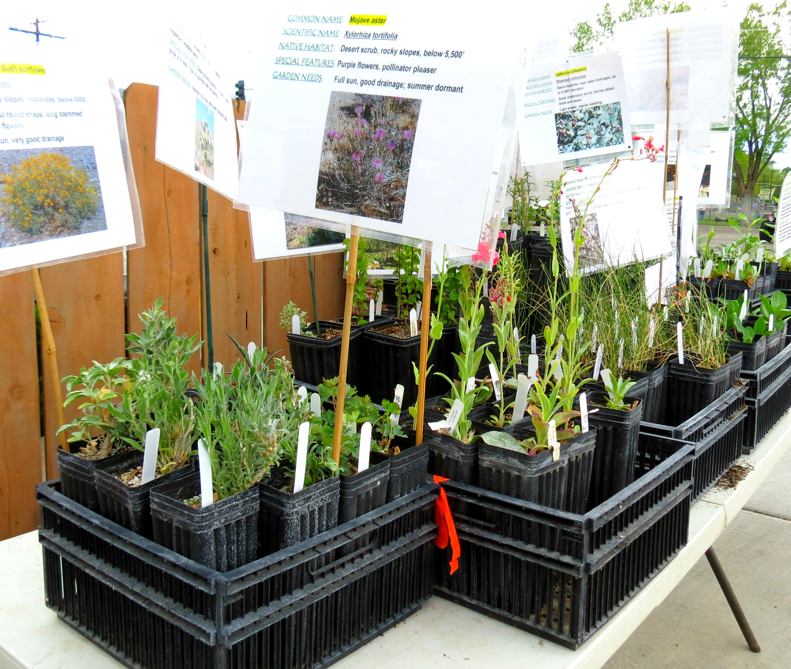 Gardenfest - CNPS