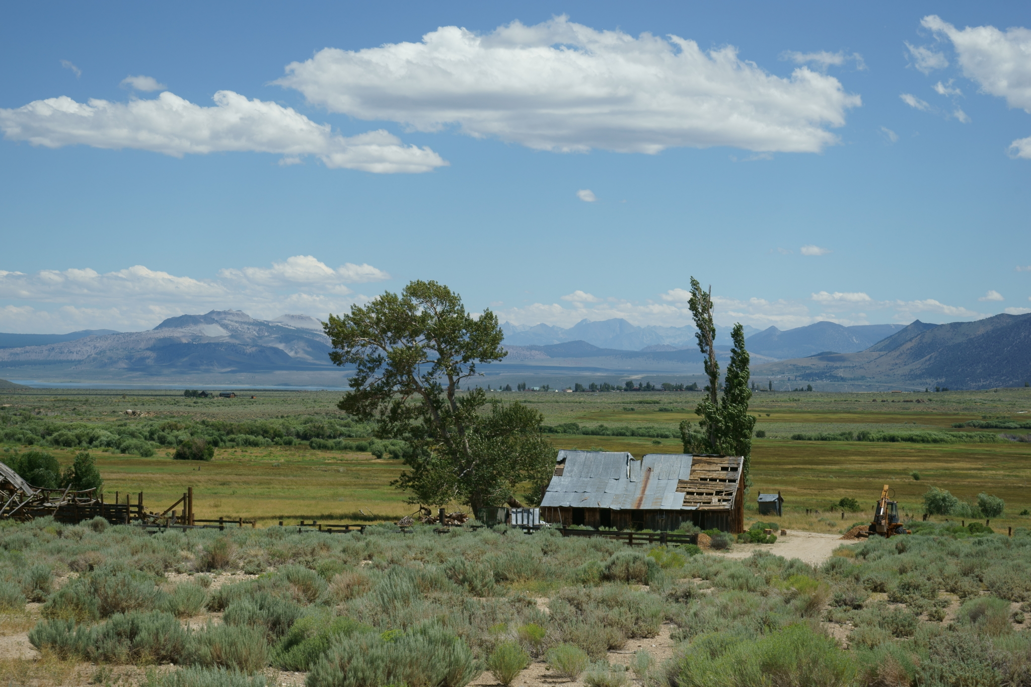 "Standing at Conway Ranch, looking across the vast sweep of the land down to Mono Lake and up to the Sierra, I realized how extraordinary the work of ESLT truly is. Conserving this land was a spectacular achievement, born of months of patient effort." ~Ruth MacFarlane, ESLT supporter. Photo © Bill Dunlap