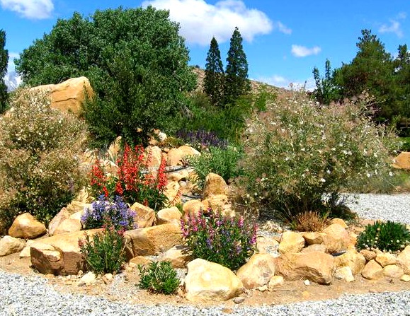 Margy Marshall's beautiful certified Native Pollinator Garden!