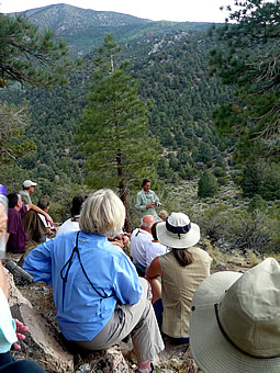 Eastern Sierra preservation community