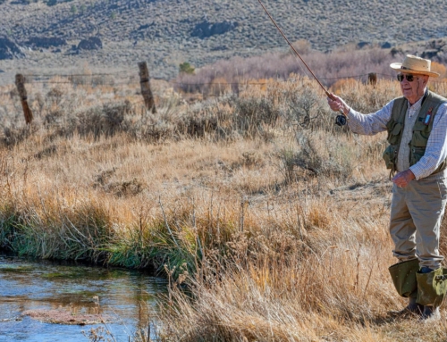 It Takes More than Stocking for World-Class Eastern Sierra Fishing